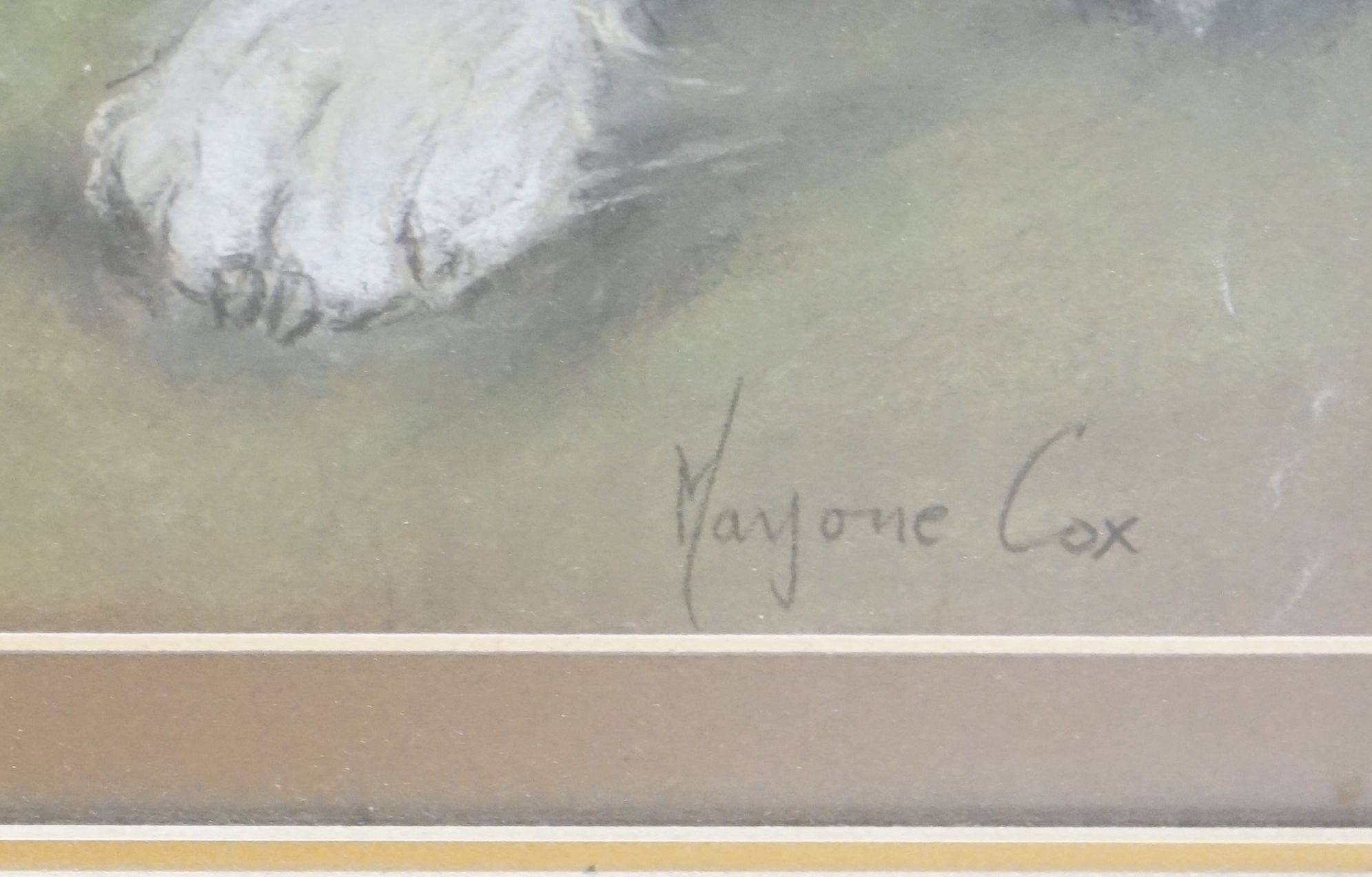 Marjorie Cox (1915-2003), pair of pastels, Portraits of Great Danes and a Terrier, signed and dated 1983/1992, 54 x 46cm